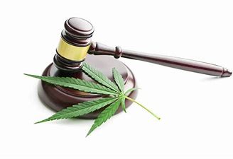Legalization of Marijuana-True News Report-Truenewsreport.com