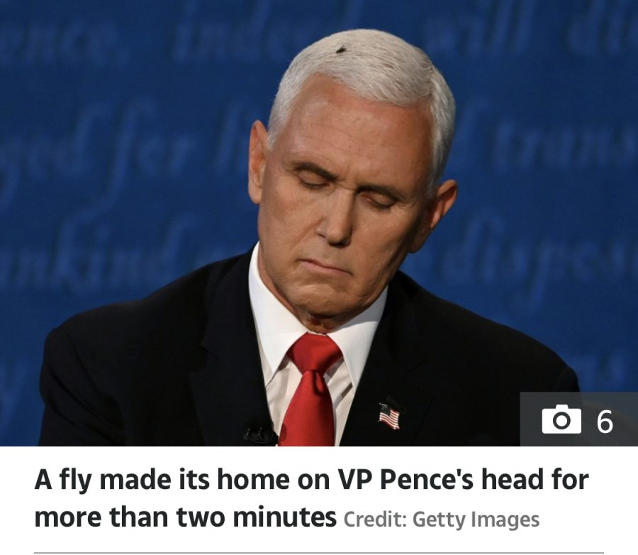 Fly on Vice President-True News Report-Truenewsreport.com