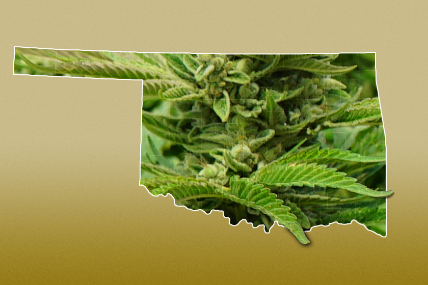 marijuana oklahoma - True News Report - Truenewsreport.com